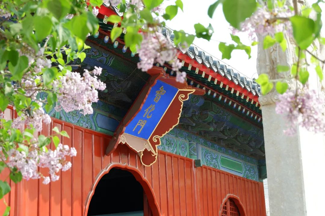 走,去北京智化寺