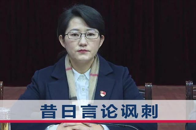 "大腐败"庞新秀:心如蛇蝎,贪污3亿元扶贫资金却公开谈反腐败