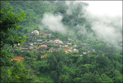 喝茶多年,西双版纳古六大茶山,你知道几个?(蛮砖古茶山篇)