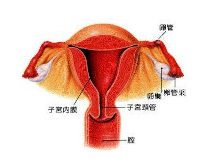 月经一般来几天才算正常?本文给出参考范围