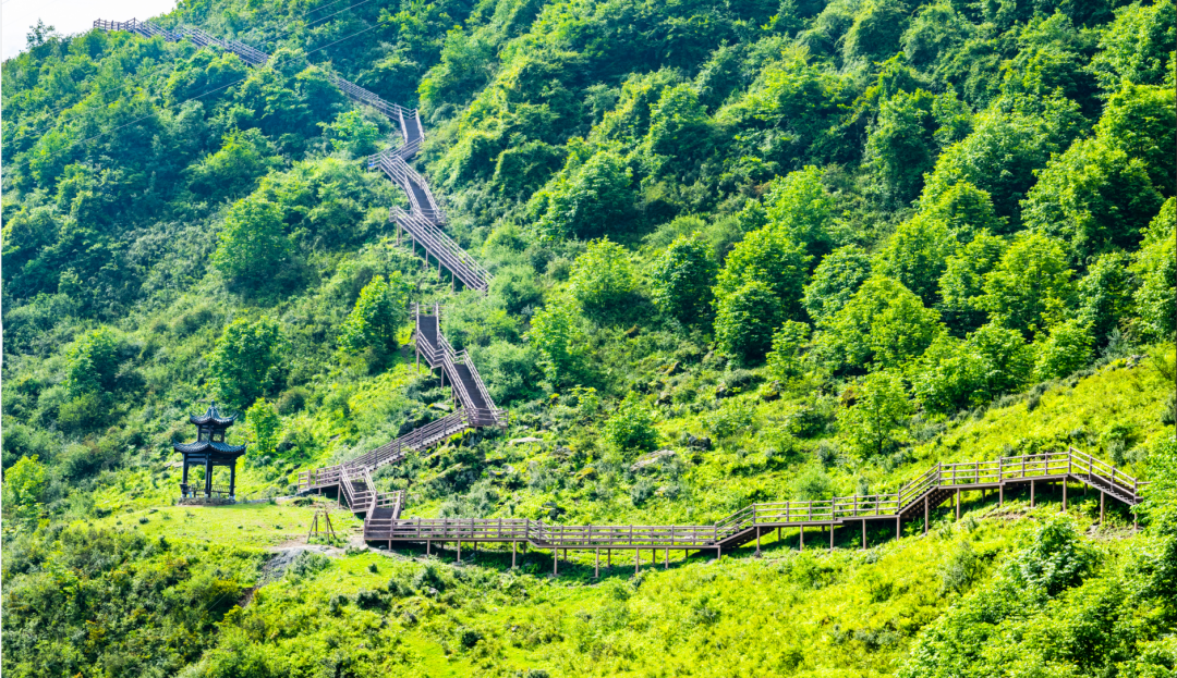 创建天府旅游名县候选县|上新啦!越西小相岭栈道!