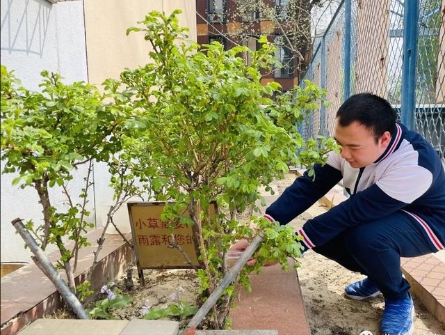 建设绿色文明校园,北京市翔宇中学一直在行动