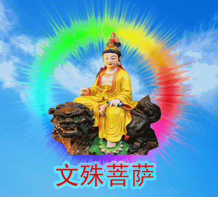 金钱豹头像太逊啦!转发这篇文章,你想要的都有!