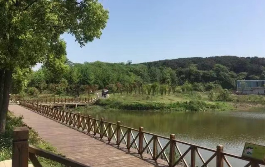 江夏湿地公园图片