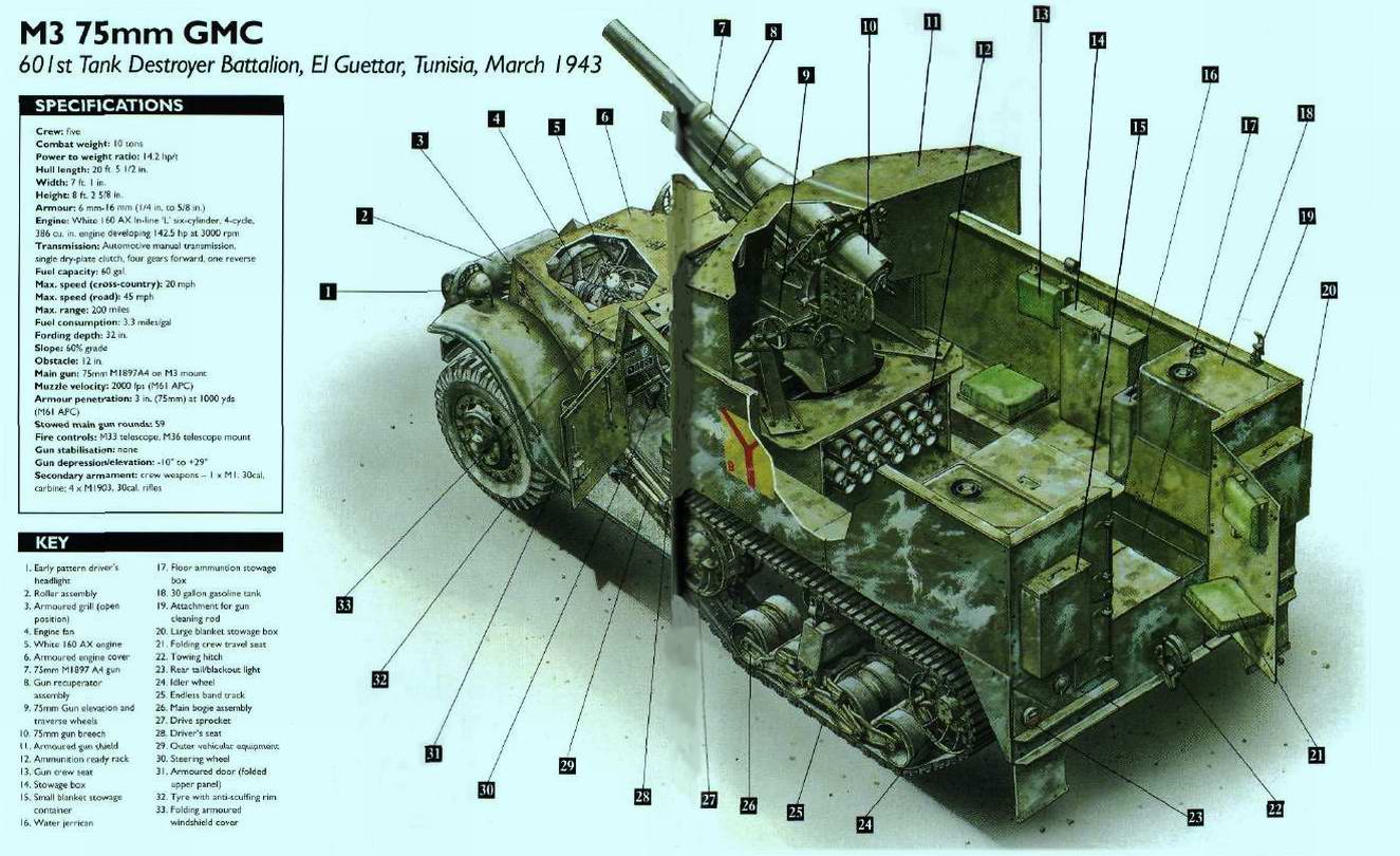 装甲车,装甲运兵车与步兵战车的横截面