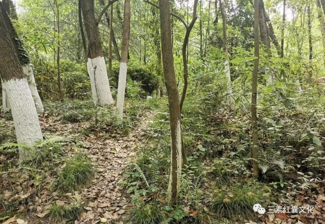 贵州遵义市三阁公园长奶夫人墓欣赏