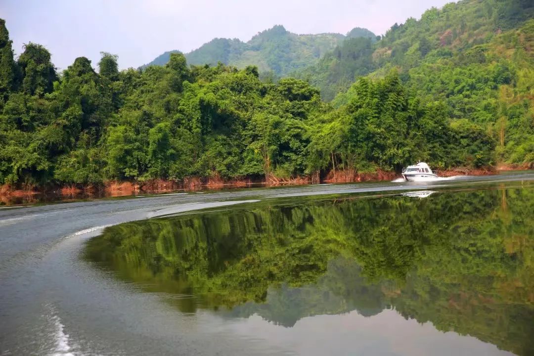 "关""改""查"三管齐下,渝北全力保护观音洞水库饮用水源