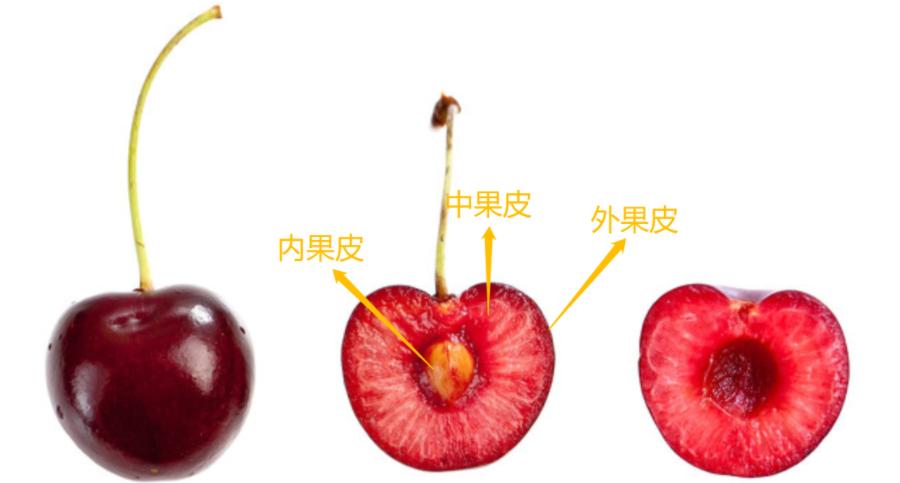 合成了大西瓜又怎样?里面西瓜都画错了