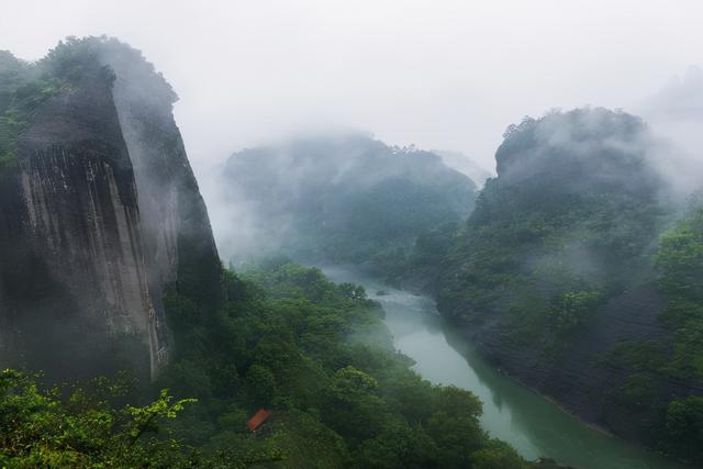 武夷山:溪边品茗冠天下,武夷仙人古植