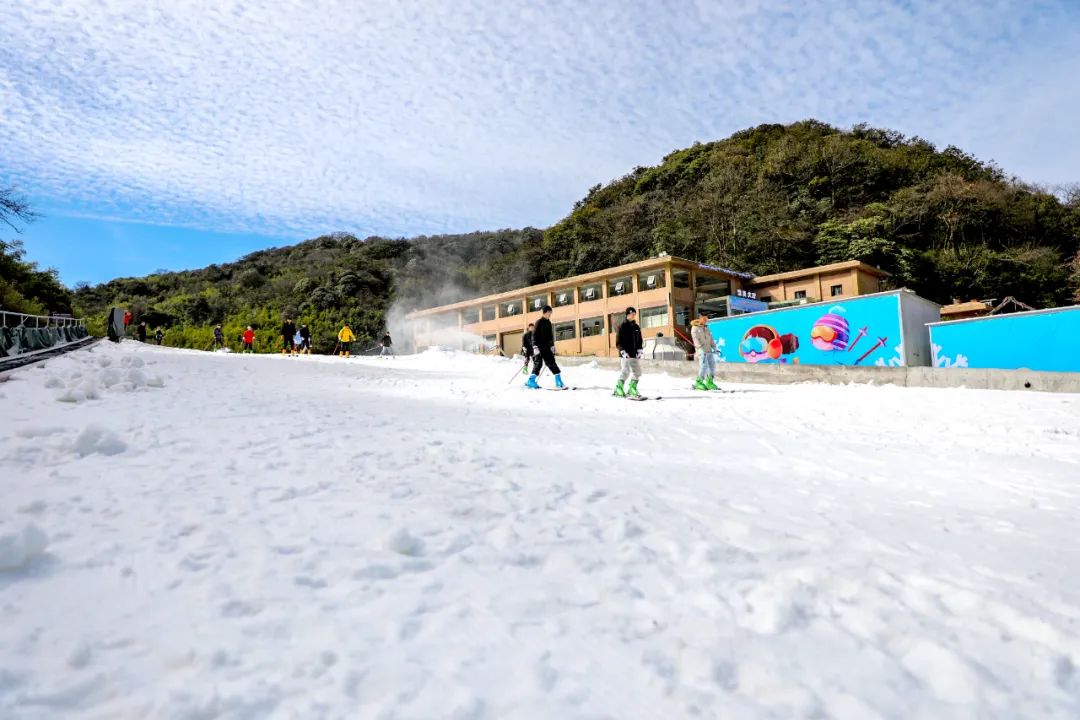 金佛山滑雪场开滑!南方唯一开放的高山户外滑雪场,等你来体验!