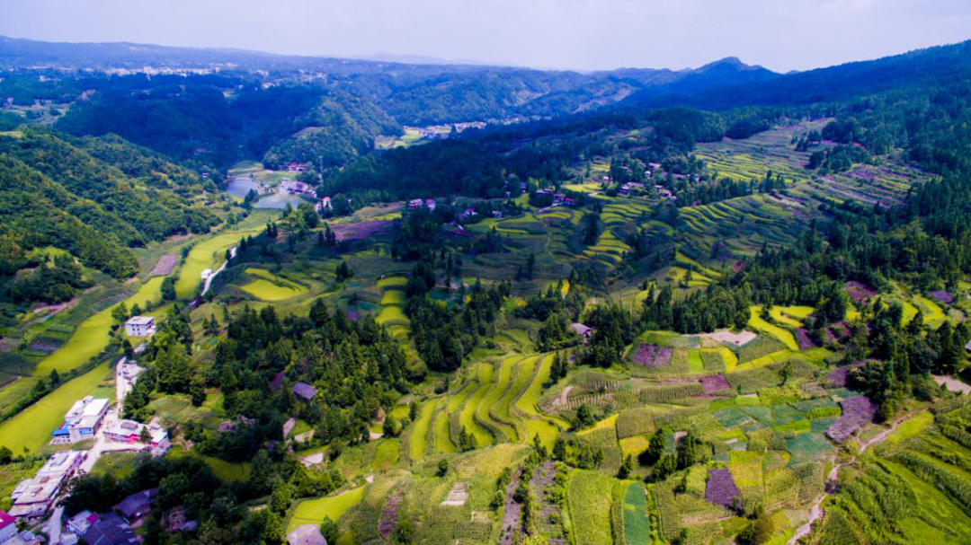 你竟是这样的建南