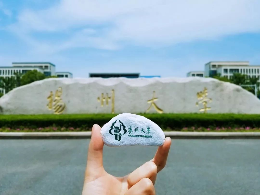 非211工程大学2023年排名:昆明理工大学夺冠,扬州大学排第3