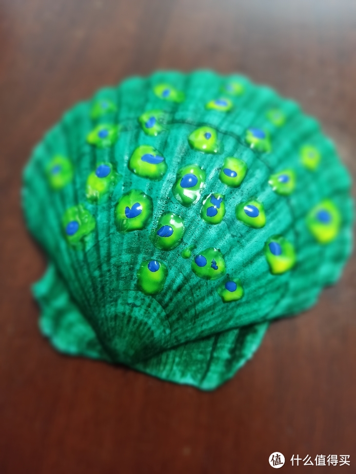 很有意思的亲子活动,用扇贝壳做手工