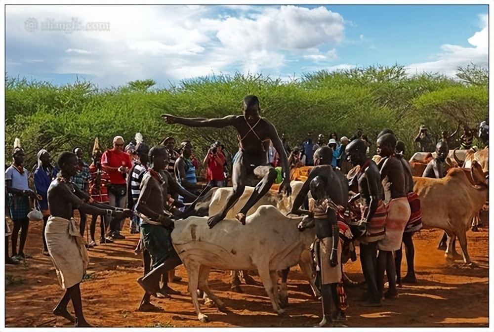 非洲跳牛 男孩图片