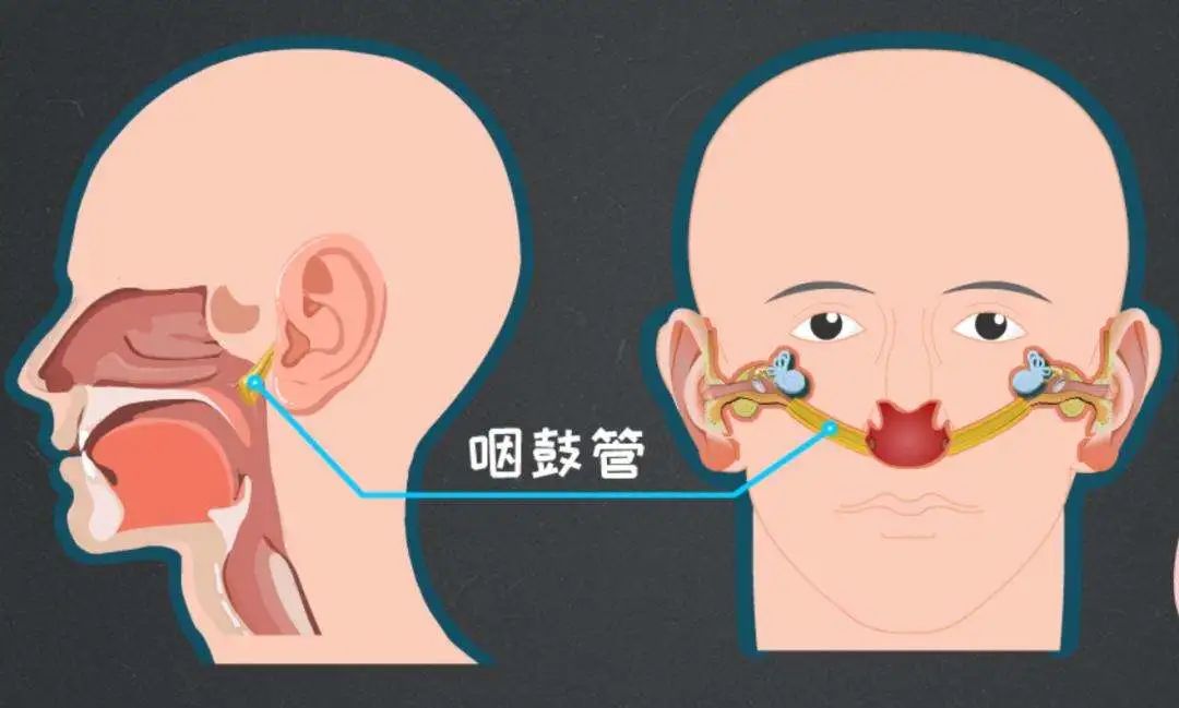 分泌性中耳炎怎麼治?成都民生耳鼻喉醫院