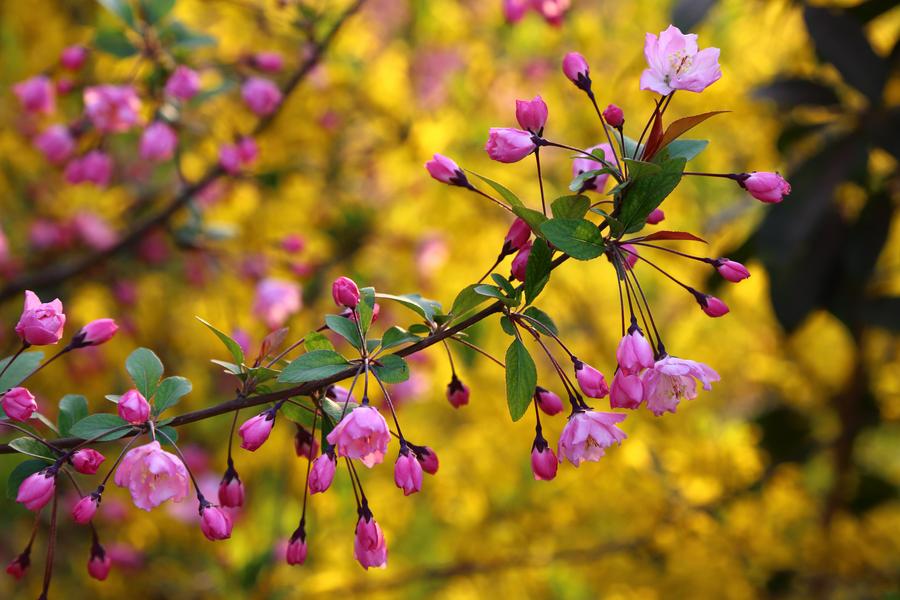 杨轻抒《光明行》阅读答案