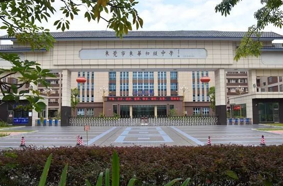 而近期广东东莞东华初级中学一位年轻有为的老师张某龙,因受到不公平