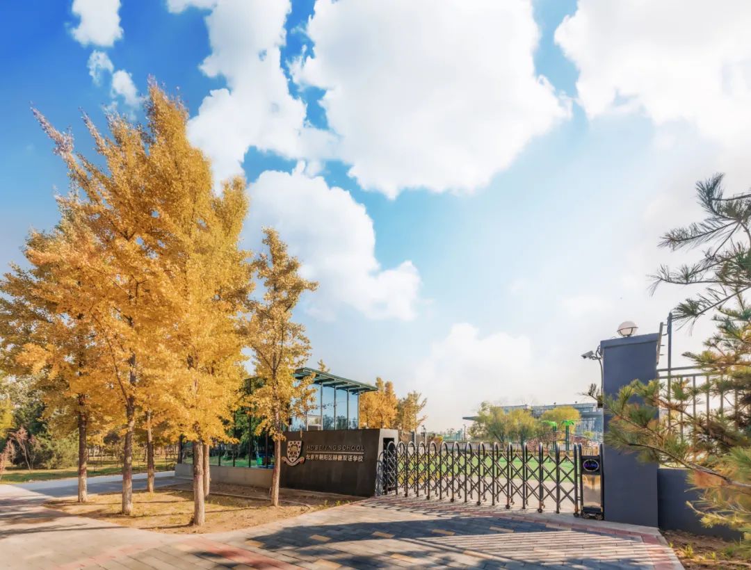 北京市朝阳区赫德学校2022年海外录取一览表