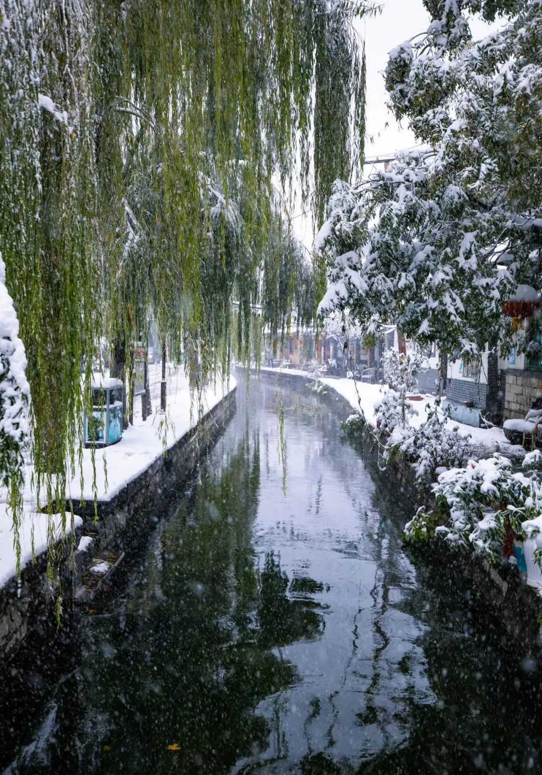 济南府雪景刷屏!来看老舍笔下济南的冬天有多美!
