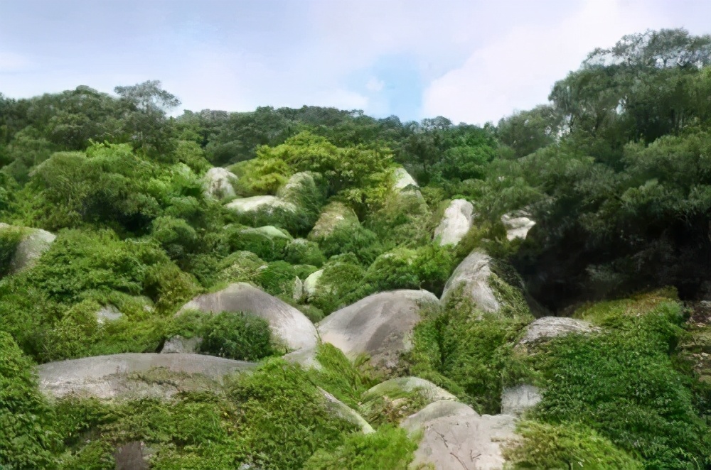 厦门网红景点"滚蛋谷"你去过没有?景色奇特也要注意危险哦