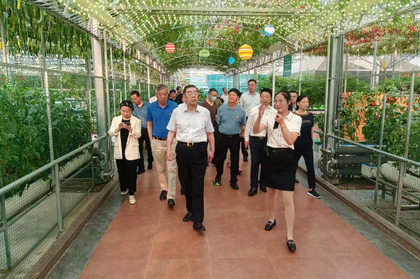正大集团资深副董事长谢毅一行莅临寿光农控集团参观交流