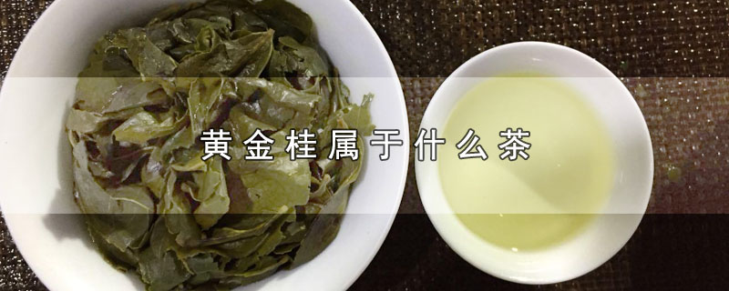 黃金桂屬於烏龍茶中的極品茶