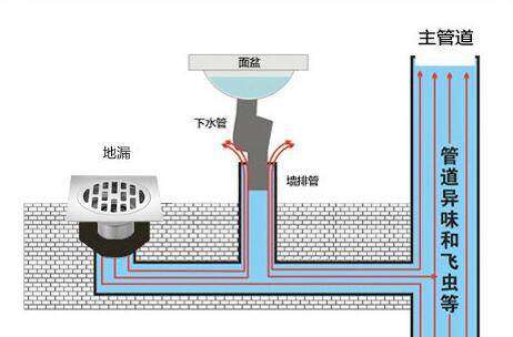 卫生间地漏堵了结构图图片