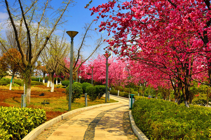 云南经济第二大城,冬暖夏凉气候宜人,物价不高生活节奏慢