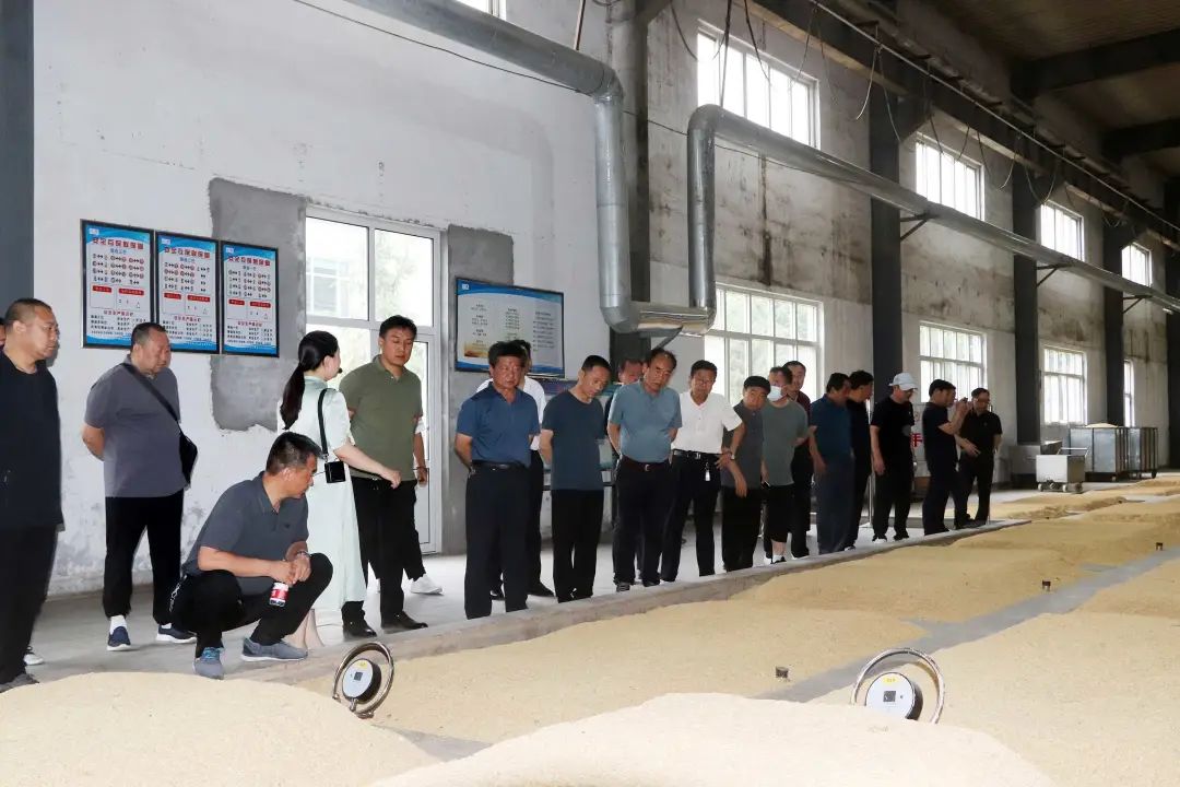 净雅盛宴‖泥坑净雅香新河高端客户回厂游