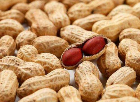 空腹吃花生竟有这么多好处!胃不好的人可多吃!