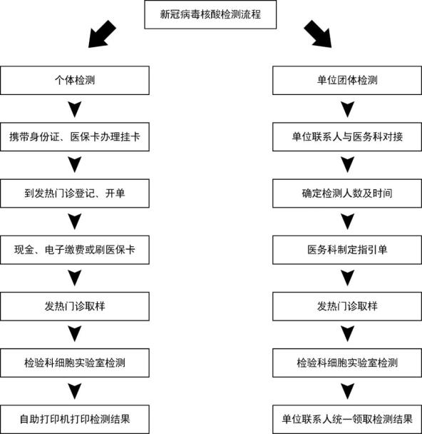 核酸采样标准流程图图片