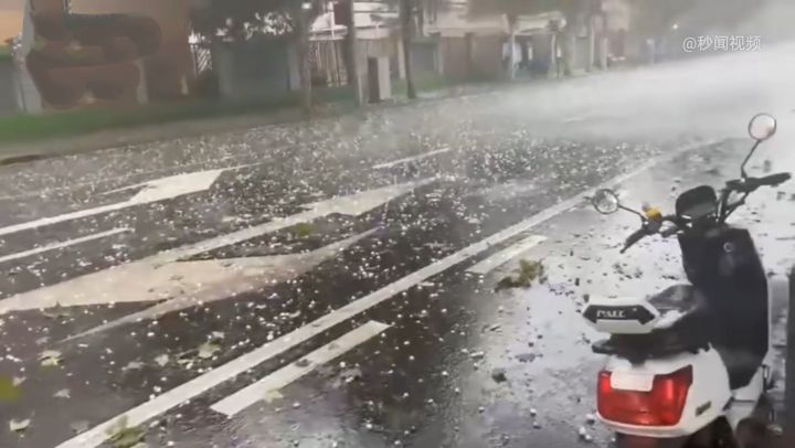 上海下了一场"经典"的冰雹,雹体层次分明,里面有白核外面透明