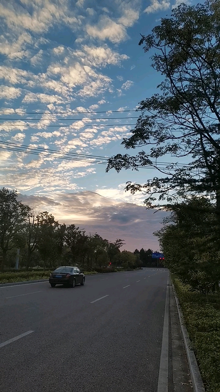 秋天的早晨,蓝天白云,真的好美!