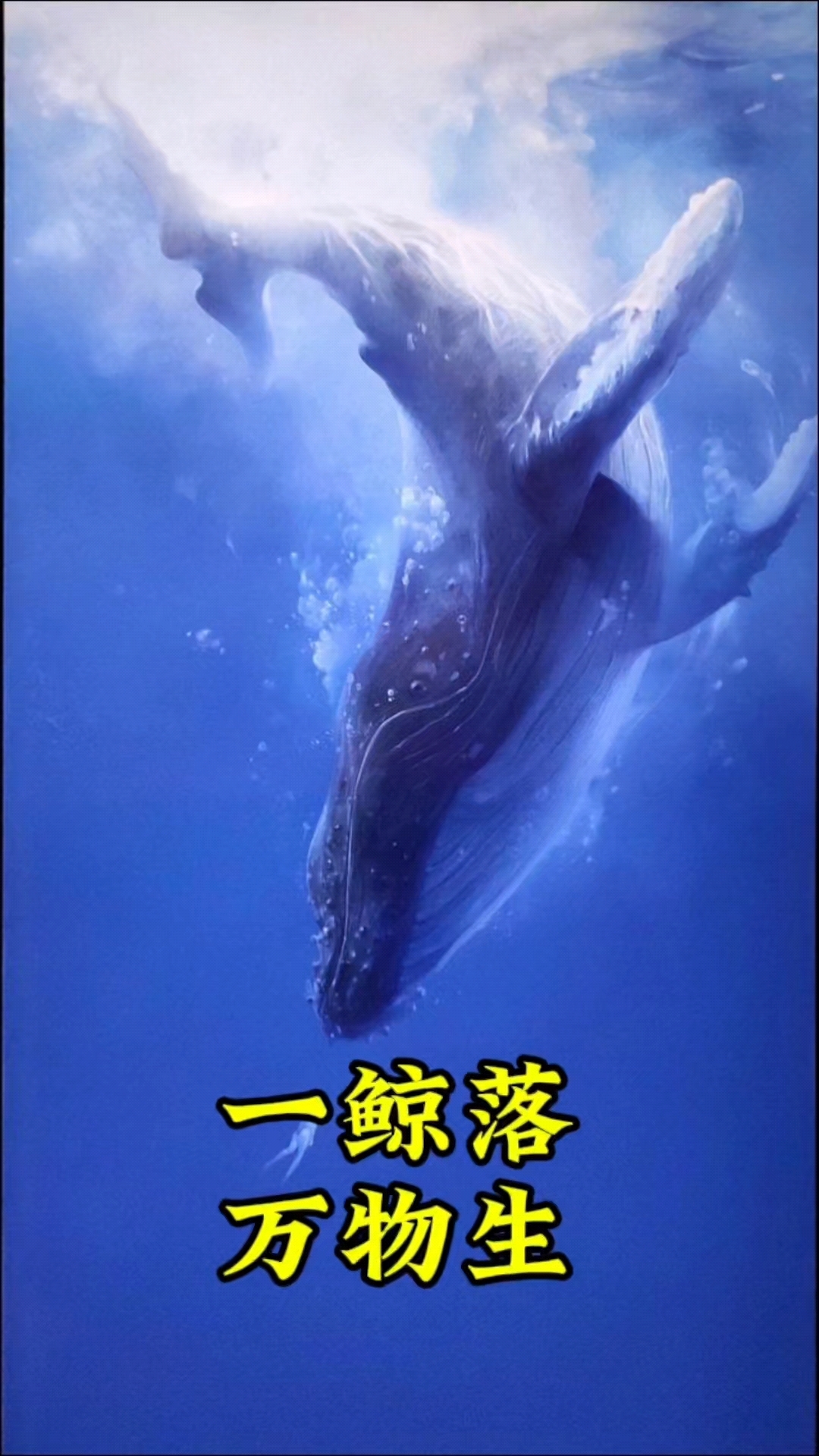 一鲸落,万物生.