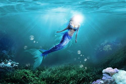 神秘的海底人鱼,究竟是未知生物,还是视觉错误