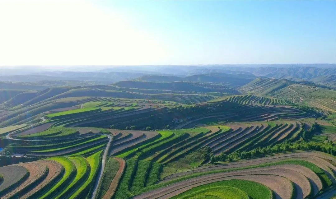 环县梯田,一幅幅鬼斧神工的丹青