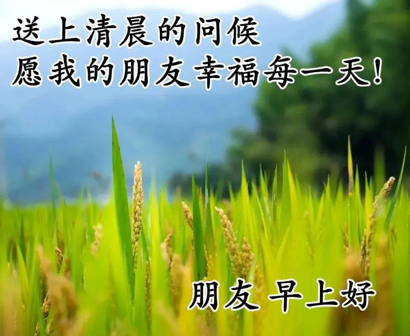 早安纯风景图片带祝福语 ,早上好风景图片带字温馨 1,有的人真心为你