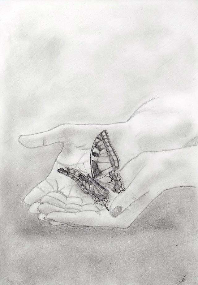 铅笔画女孩的手(15张)