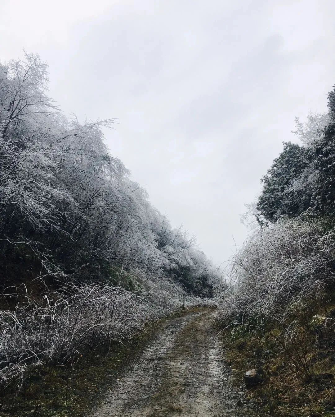 昆明要下雪了?
