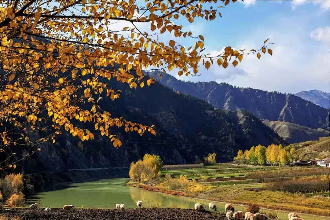 这个季节的互助美得刚刚好