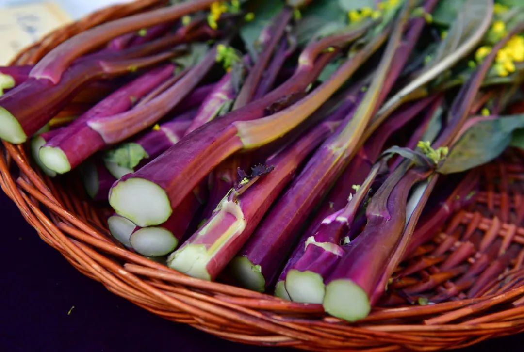 武汉优质农产品——洪山菜薹:千百年保护传承 造就正宗本真味道