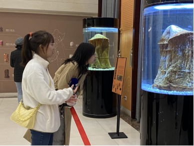 珍藏太岁总价值超亿元 最大最全太岁收藏馆亮相成都