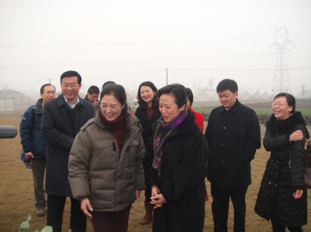 纪实:"女贪"曲松枝:丈夫省委高官,共同敛财2800万,结局惨了