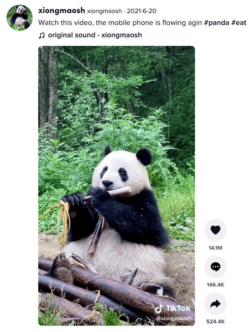 在TikTok上爆红的中国文化，短视频时代玩遍中国网红流量APP！