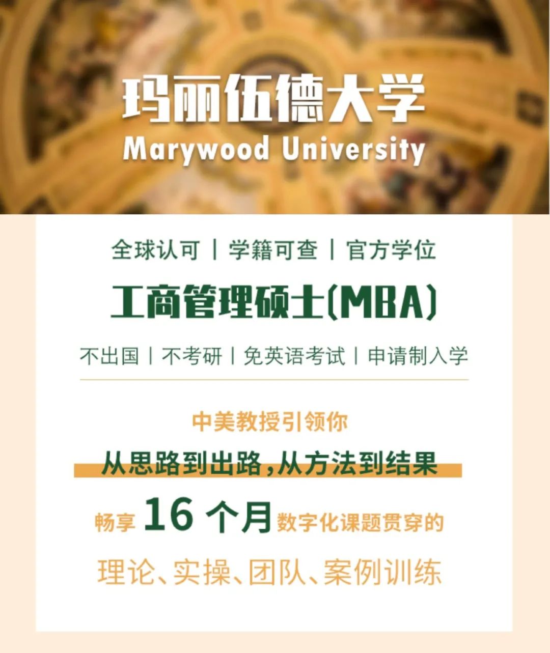 美國瑪麗伍德大學|數字領導力方向mba