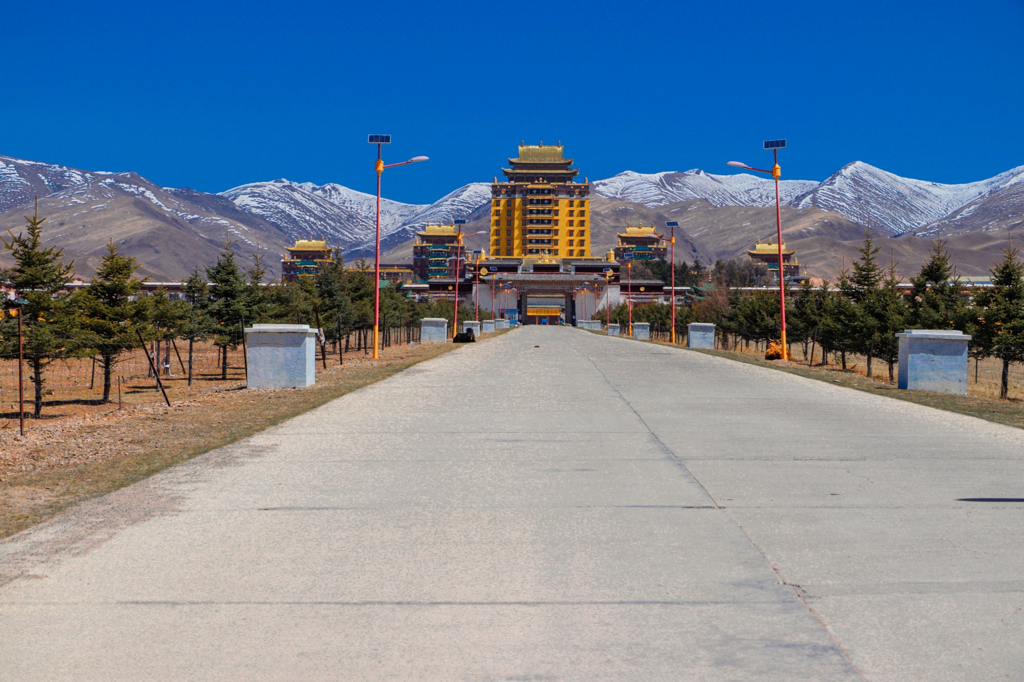 世界最大佛学院重新开放最全攻略串联川西魔兽世界藏传佛教