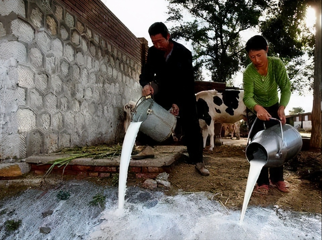 当年美国资本家倒牛奶,究竟是怎么回事?有三类不同的倒奶行为?