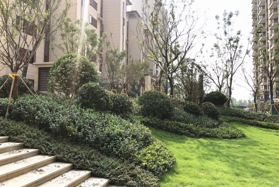 独家探访:首揭信阳碧桂园精装房神秘面纱!