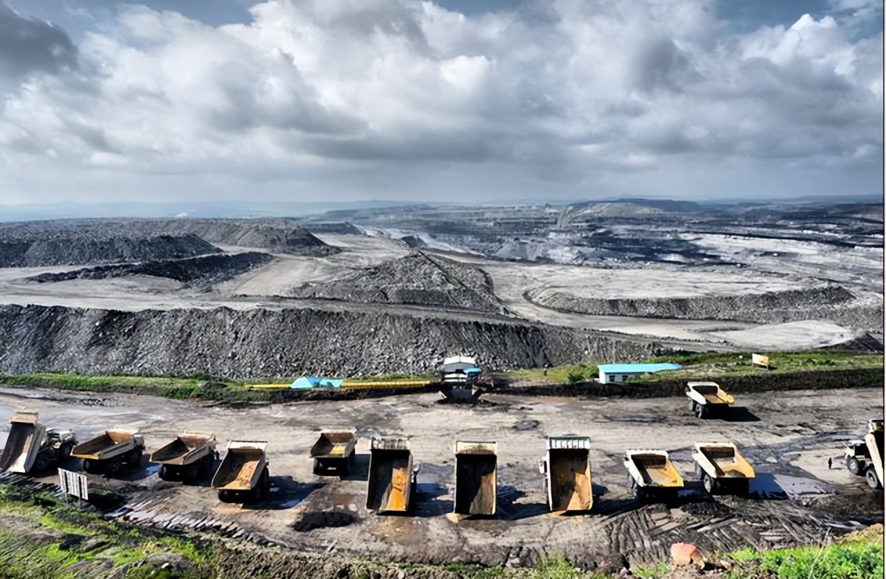 煤层厚达1千米,延伸上千公里!世界最大的煤田竟是植物形成的?