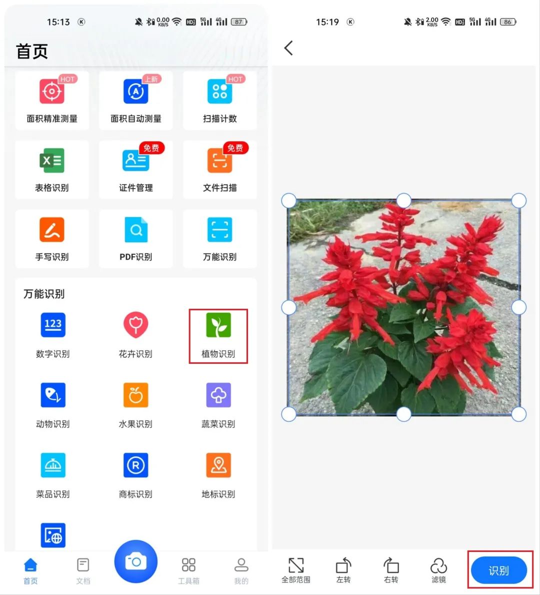 超详细的植物识别app,各种植物,统统一键识别!